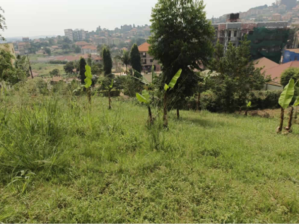 25 decimal plot of land for sale in Kiwatule